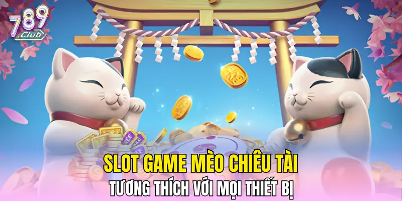 Slot game Mèo Chiêu Tài tương thích với mọi thiết bị Slot game Mèo Chiêu Tài tương thích với mọi thiết bị